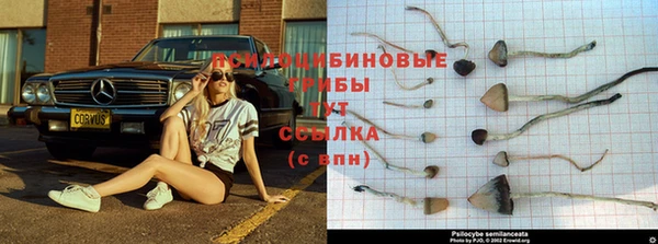 бутик Алексеевка
